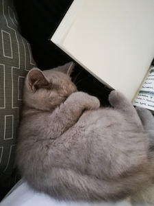 Britta Sofia Andersson