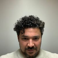 Mostafa Elmasry