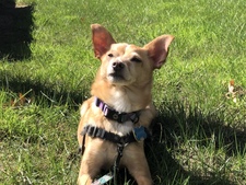 Sam