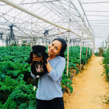 Tiên Mỹ
