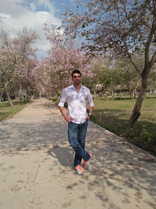 Amgad Mansour