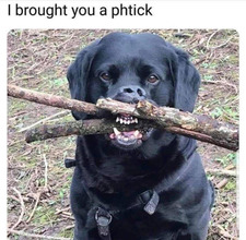 Jimbooo