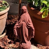 Donna Samulowitz Larson