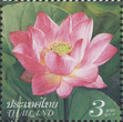 BBua
