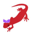 Newt