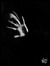 Fatma H...