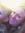 Megan Hinton (meganhinton) | 1 comments