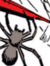 Spiderw...