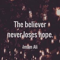 شائستہ امیر