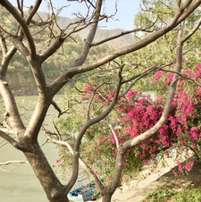 Line Brekke andersen