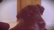 Gabby