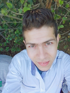 Mohamed Khalefa