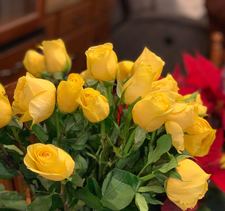 Mae Coronel-grimmett