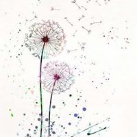 ეთო რაზმაძე