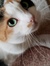 Sylvia