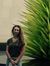 Emily S...