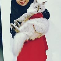 Farahin Ngatiman
