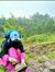 Ithaa K...