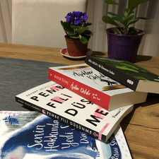 Aslı Şan Altındiş