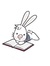 Bookrabbit