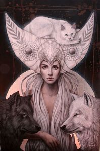 Contessa