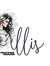 M.V. Ellis
