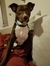 Savannah