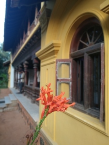 Your Lips... Apocalypse..