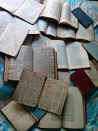 د. عبير الحمصي