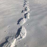 Στεφανια Βιασυζζι