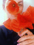 Alexand...