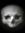 39454321