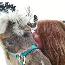 Book Hoarding Dragonborn