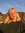 dalila | 14 comments