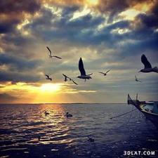 أسماء الشيخ