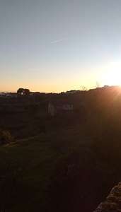 Adri of the Woods Beyond