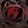 Cindy