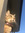 Zoe