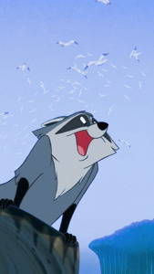 Meeko