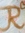 Rabbia