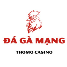 Đá Gà Mạng