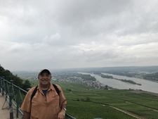 DENNIS STEFANELLI