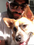 Wael
