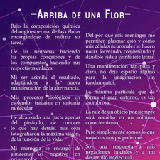 Доберман Сатэ