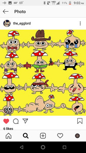 Vince Maltempi, D.Min.