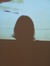 Joana C...