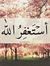 Tarek F...