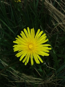 Darmaa.e=mc2