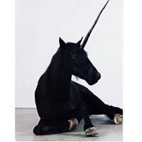 سماح عبدالرحمن