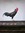 Richard Steele (stupidmadeeasy) | 1 comments